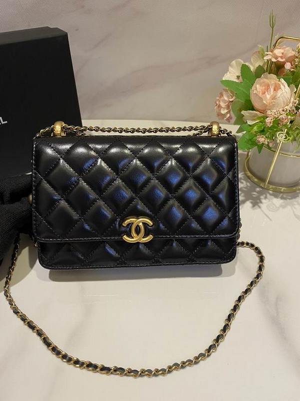 Chanel Handbags 1